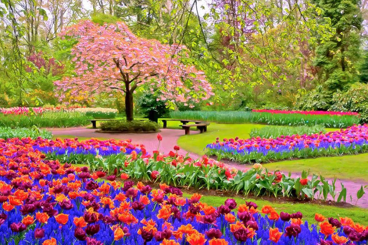 ogród w tulipanach puzzle online