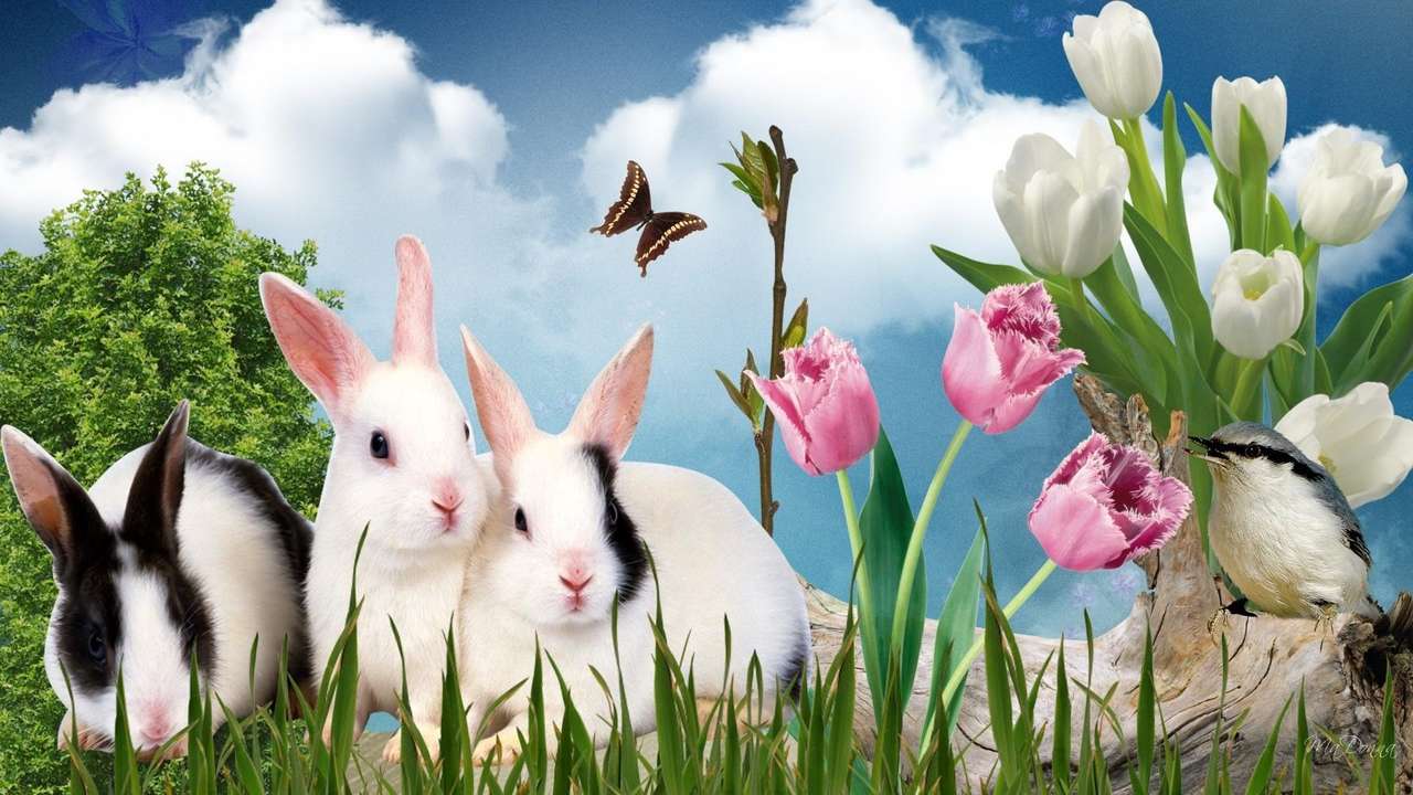 króliki w tulipanach puzzle online
