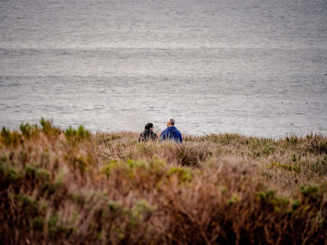 mężczyzna i kobieta siedzi na polu trawy w pobliżu zbiornika wodnego puzzle online