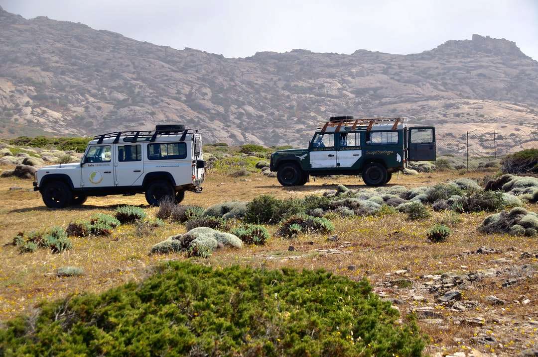 biały i czarny jeep wrangler na zielonym polu trawy puzzle online