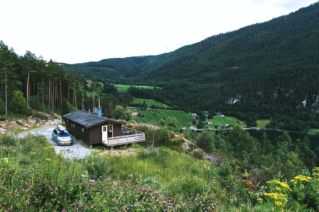 brązowy drewniany dom na zielonej trawie w ciągu dnia puzzle online