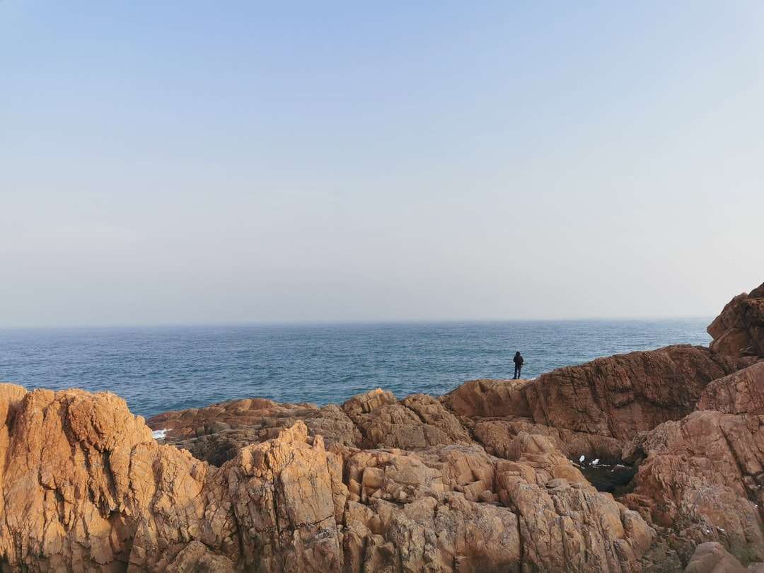 osoba stojąca na brązowej formacji skalnej w pobliżu zbiornika wodnego puzzle online