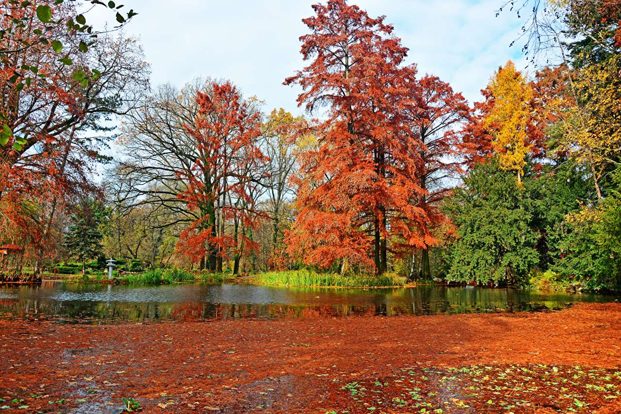 Szeged Park jesienią na Węgrzech puzzle online