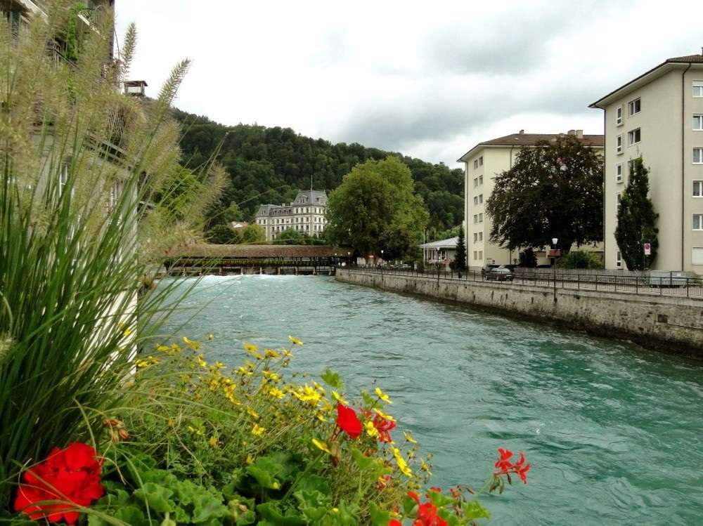Rzeka Aare w Szwajcarii. puzzle online