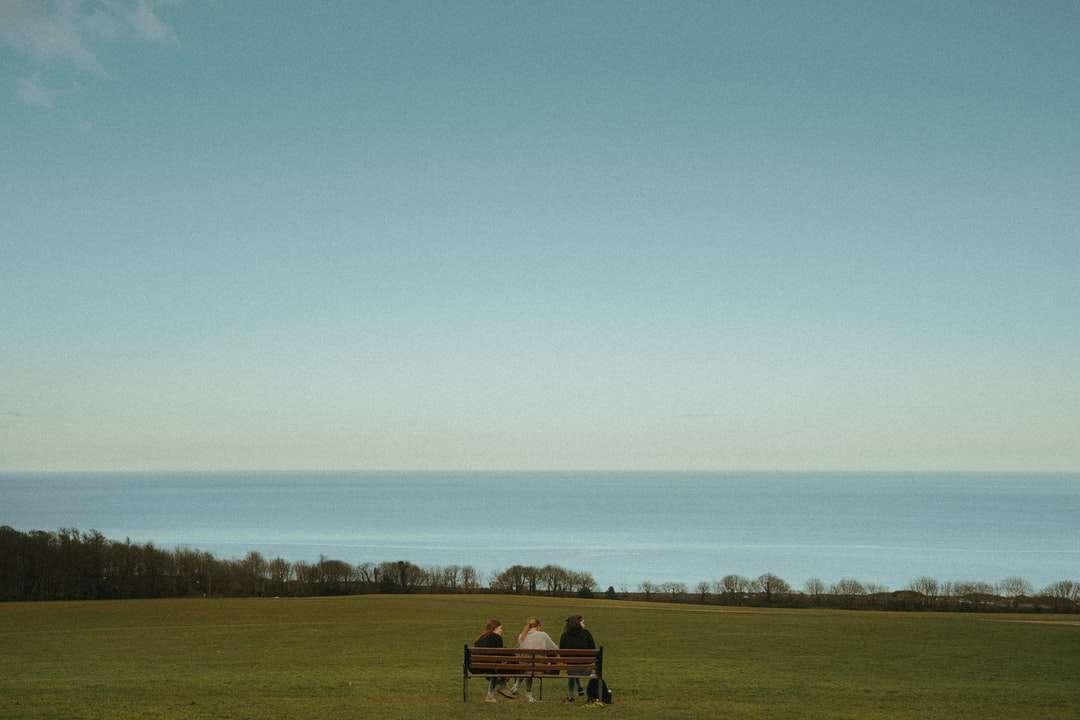 brązowa drewniana ławka na zielonym polu trawy pod błękitnym niebem puzzle online