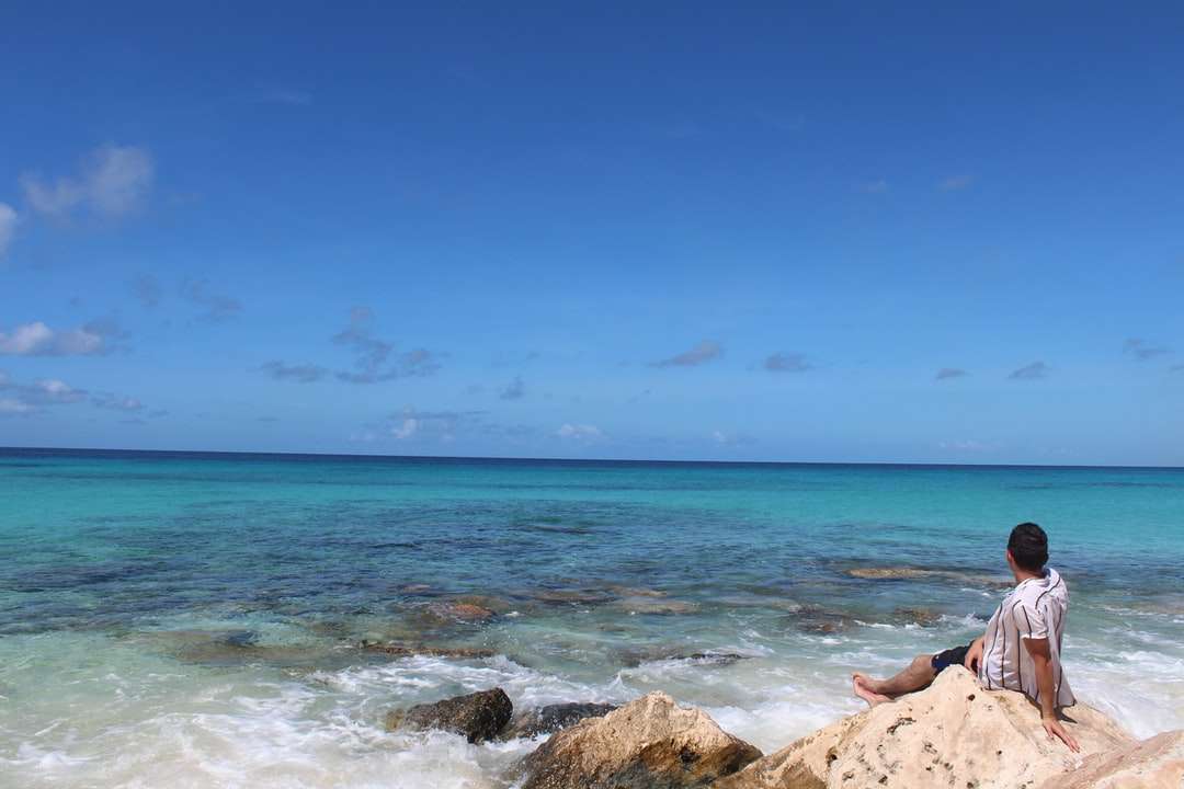 osoba leżąca na brązowej skale w pobliżu morza pod błękitnym niebem puzzle online