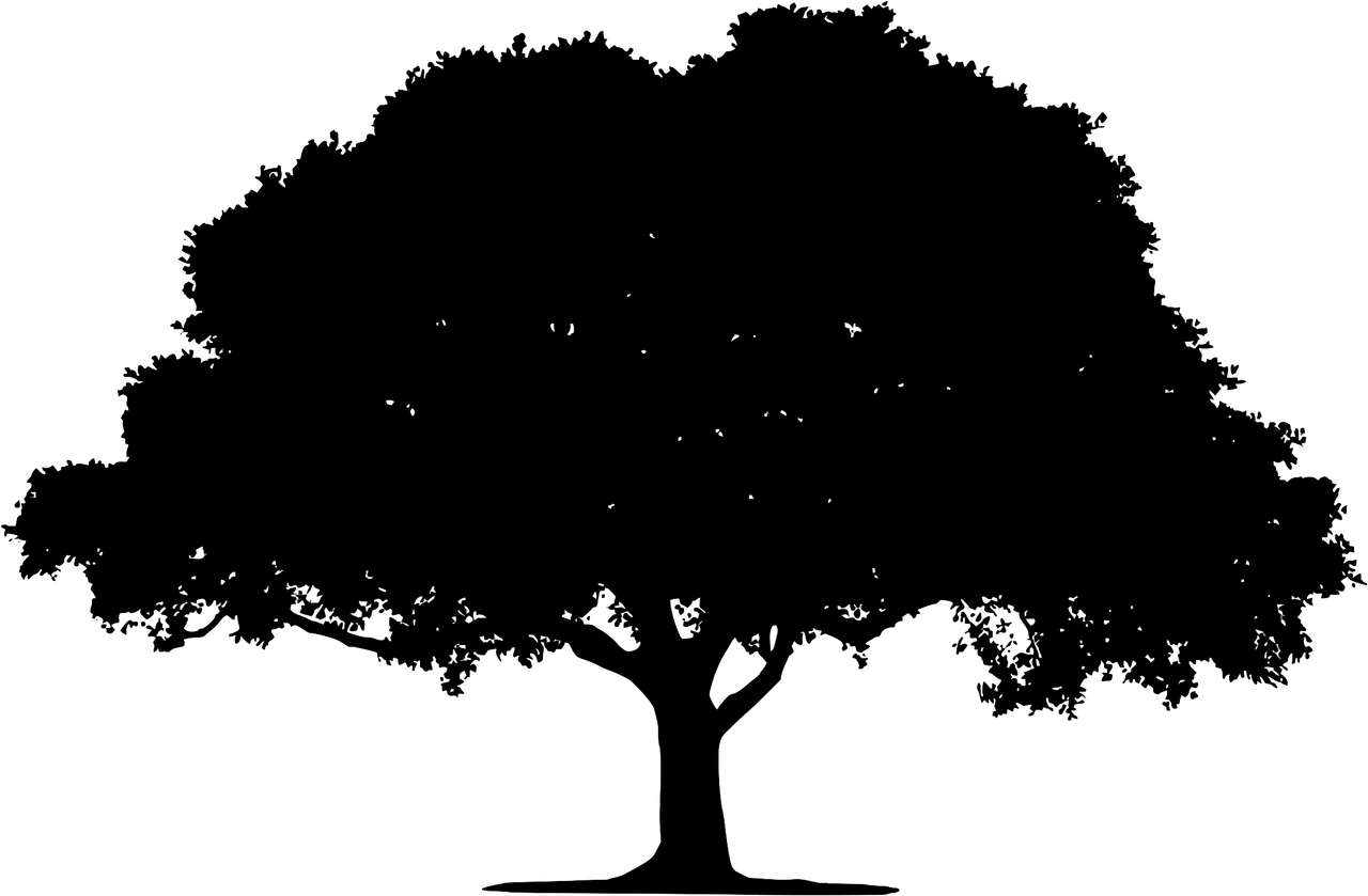 sylwetka drzewa puzzle online