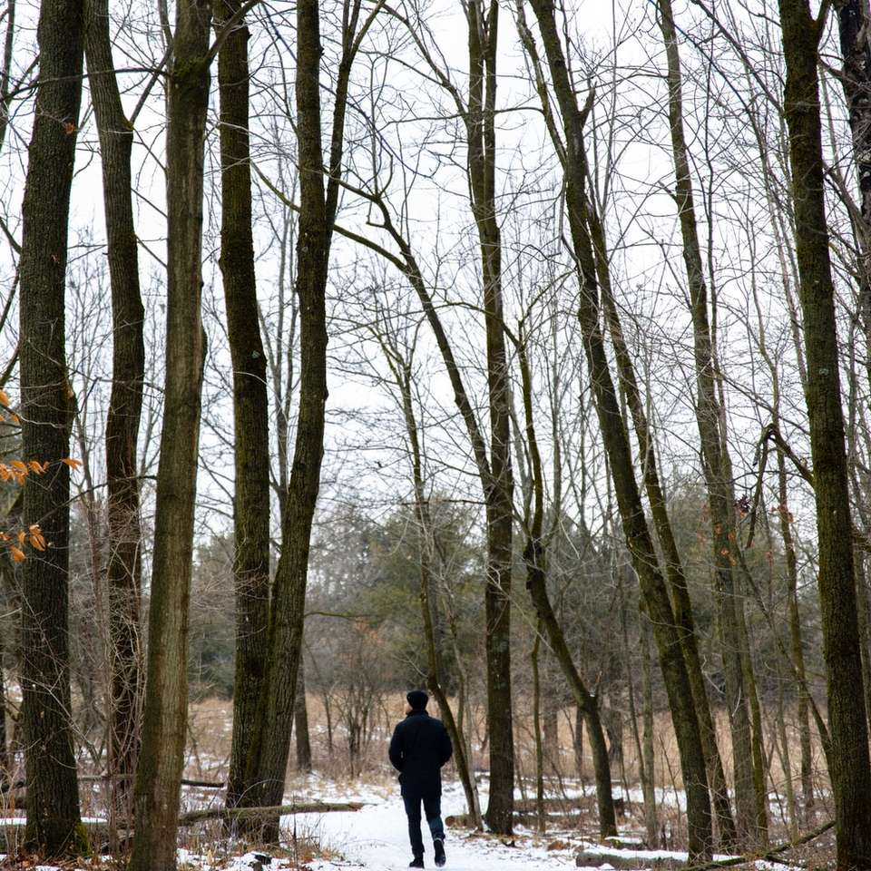 osoba w czarnej kurtce spaceru na ścieżce puzzle online