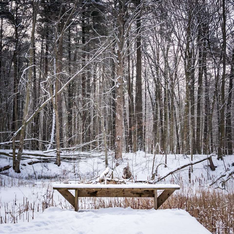 brązowy drewniany stół piknikowy na ziemi pokrytej śniegiem puzzle online