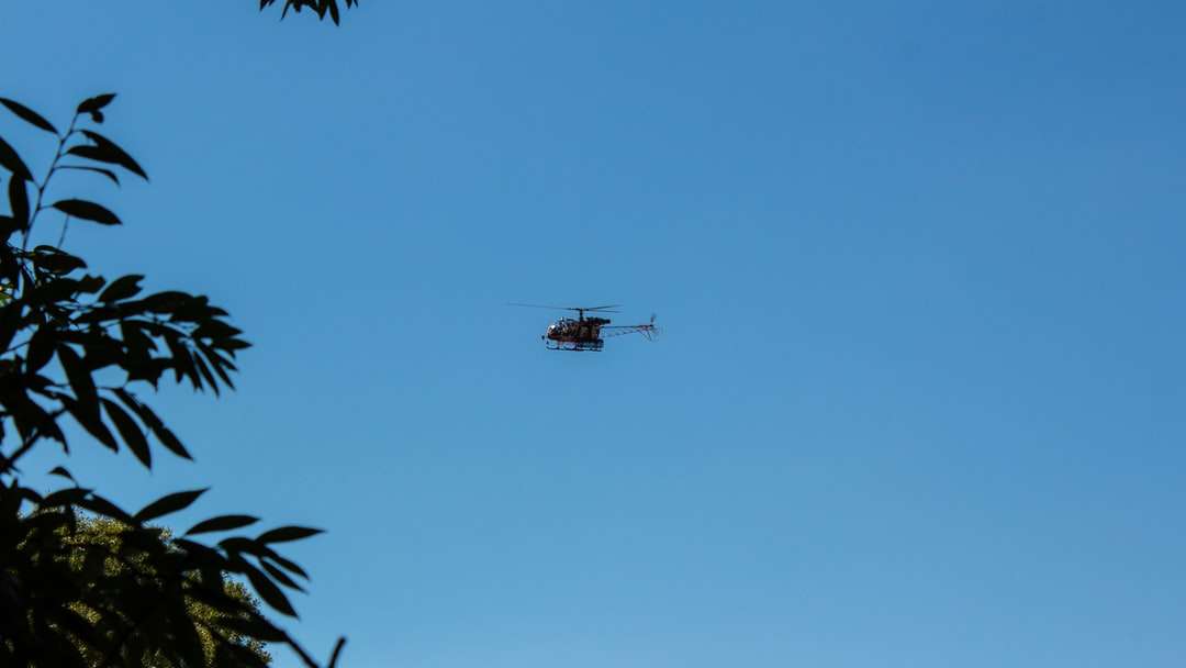 czarny helikopter latający nad zielonymi palmami w ciągu dnia puzzle online