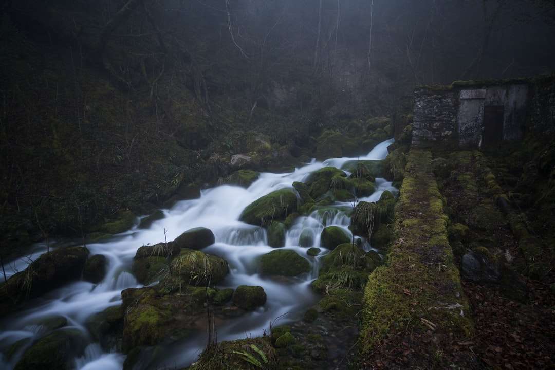 strumień wody w środku lasu puzzle online