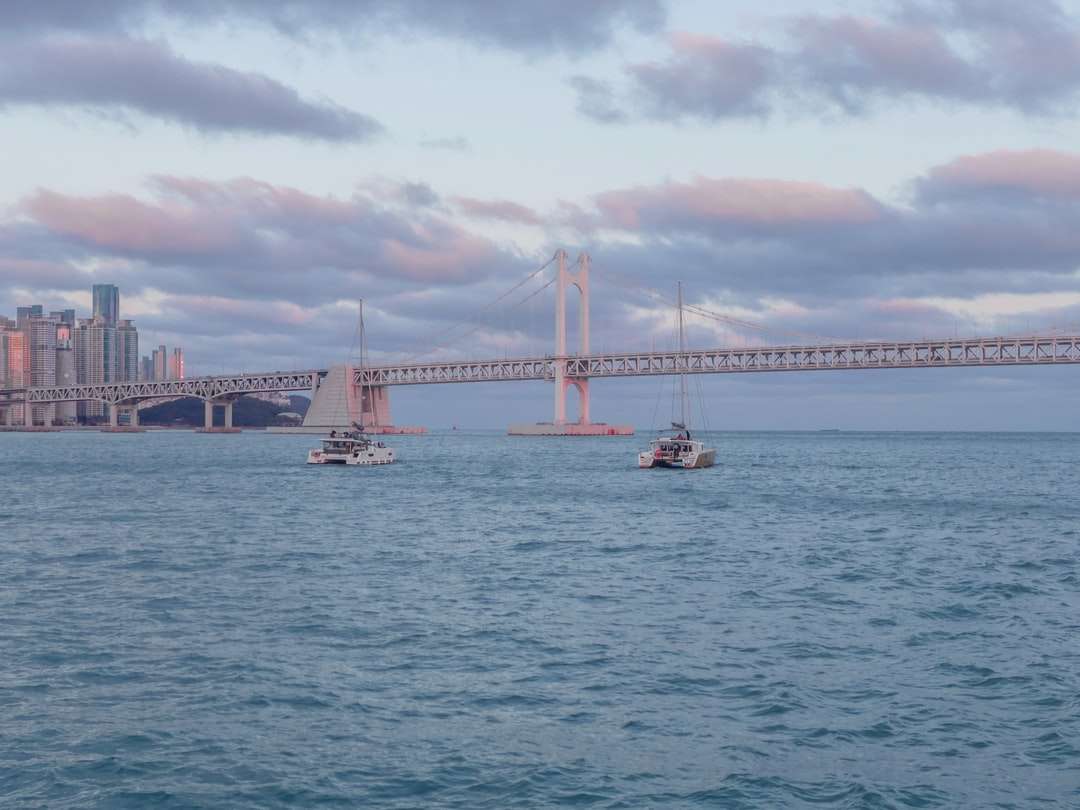 biała łódź na morzu pod mostem w ciągu dnia puzzle online