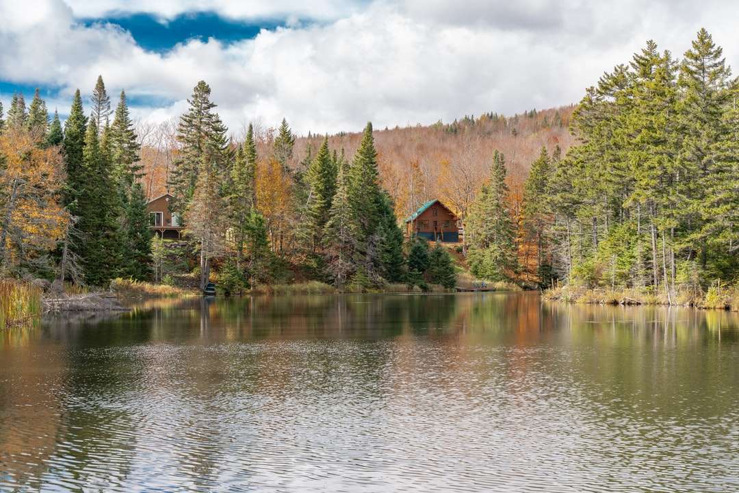 brązowy dom w pobliżu zielonych drzew i jeziora w ciągu dnia puzzle online