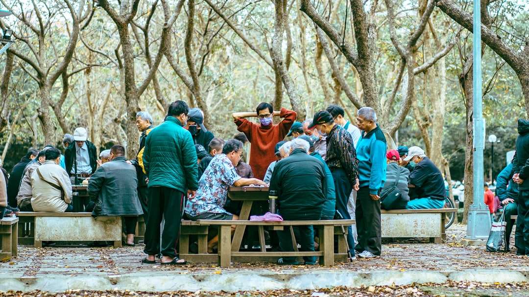 ludzie siedzący na brązowej drewnianej ławce w ciągu dnia puzzle online