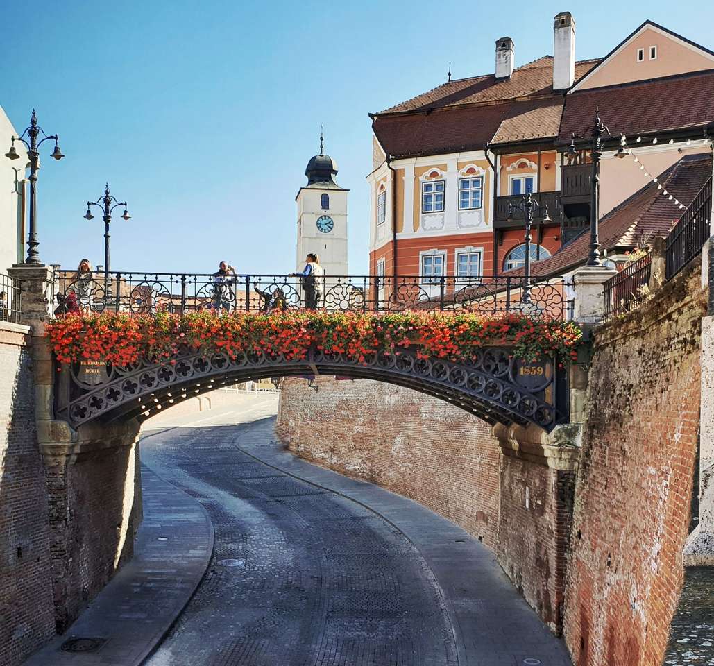 Sibiu Bridge of Lies Romania puzzle online