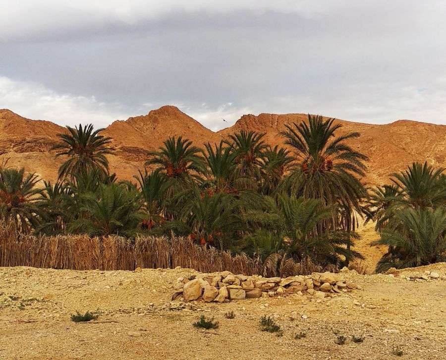 Sahara i Góry Atlas puzzle online