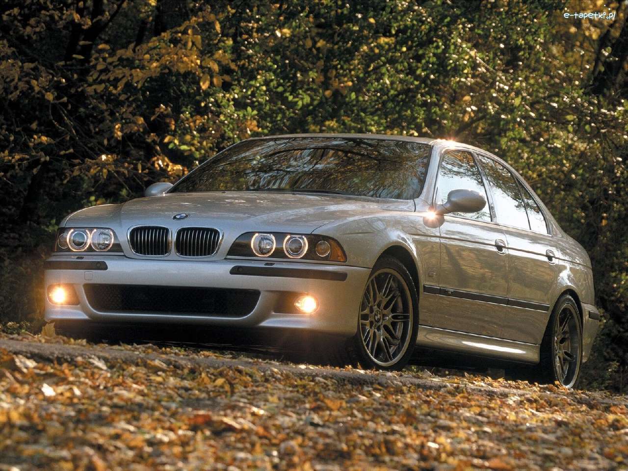 BMW Mシリーズ、BMW 5、E39 パズル
