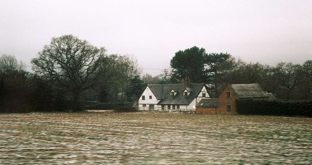 biały i brązowy dom w pobliżu zielonych drzew i zbiornika wodnego puzzle online