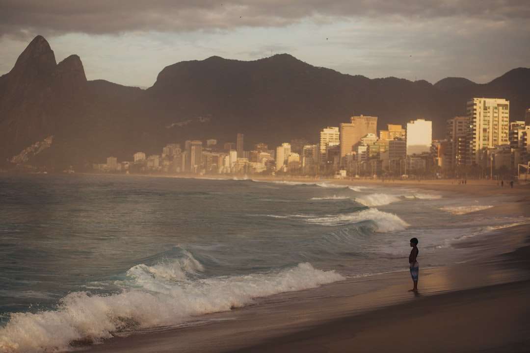 osoba stojąca na brzegu morza w ciągu dnia puzzle online