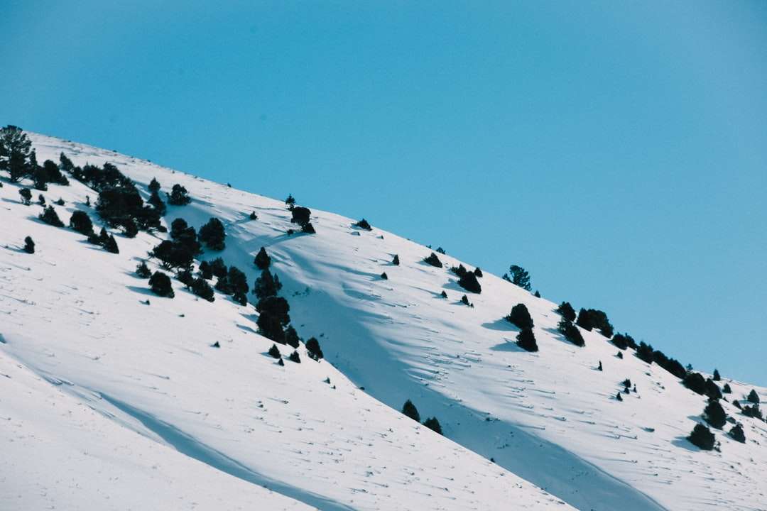pokryte śniegiem góry pod błękitnym niebem w ciągu dnia puzzle online