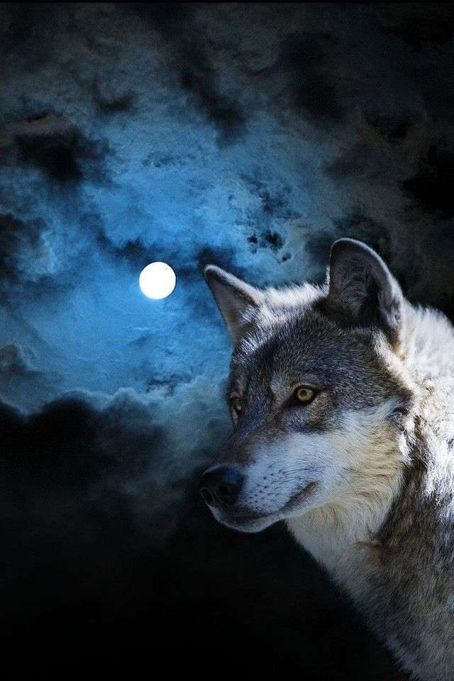 wilk- pełnia księżyca puzzle online