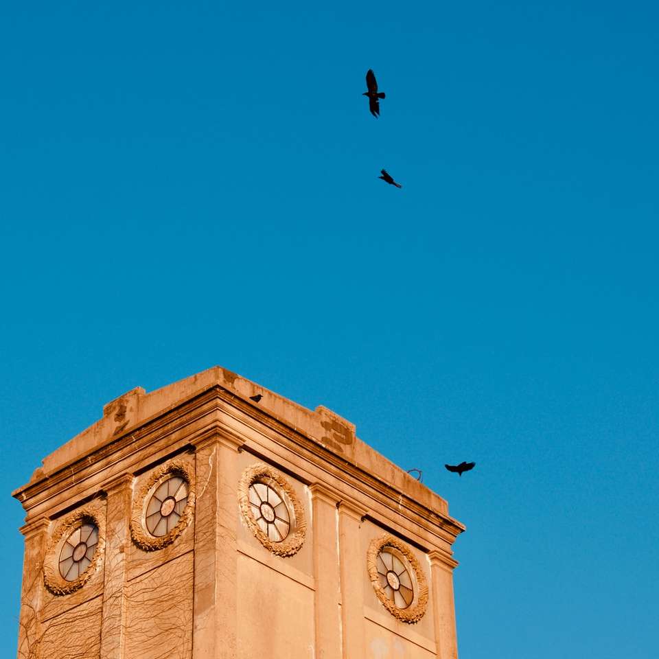 czarny ptak lecący nad brązowym betonowym budynkiem puzzle online