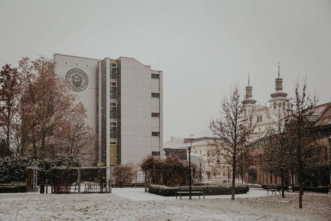 biały betonowy budynek w pobliżu drzew w ciągu dnia puzzle online
