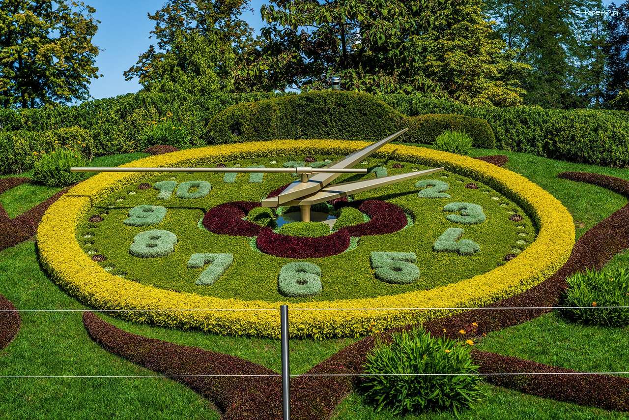 zielony trawnik- zegar puzzle online