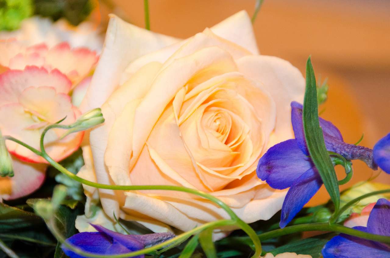 Żółta róża i niebieskie kwiaty puzzle online