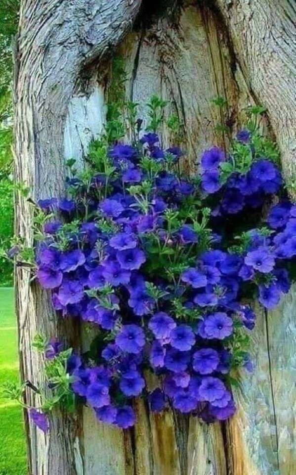 Niebieskie kwiaty na drzewie puzzle online