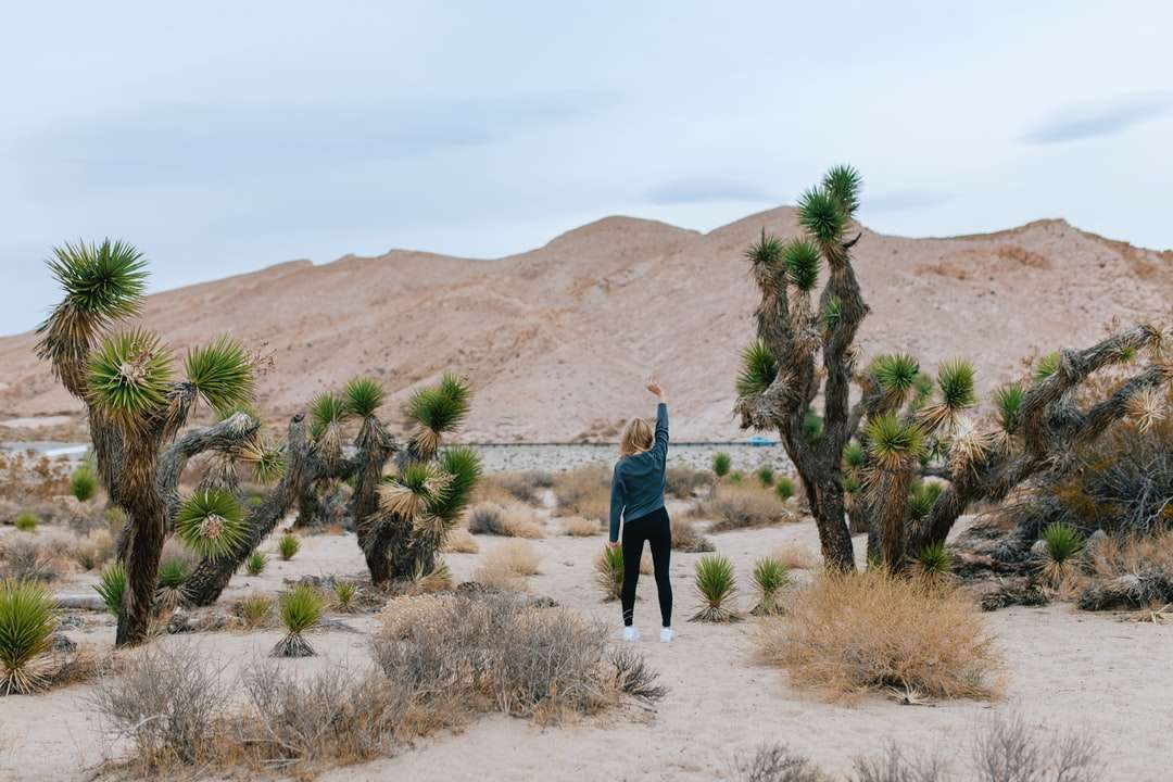 mężczyzna w niebieskiej kurtce stojący na brązowym piasku w ciągu dnia puzzle online