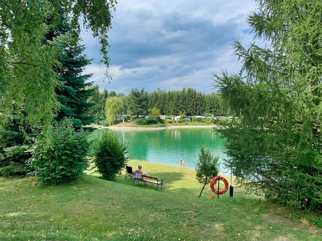zielone drzewa w pobliżu jeziora pod zachmurzonym niebem w ciągu dnia puzzle online