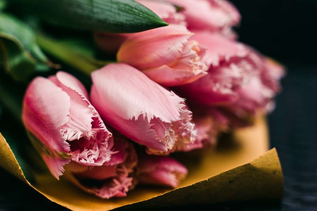 różowe i białe płatki kwiatów puzzle online
