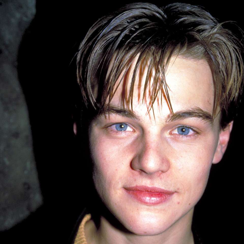 Leonardo DiCaprio w latach 90-tych puzzle online