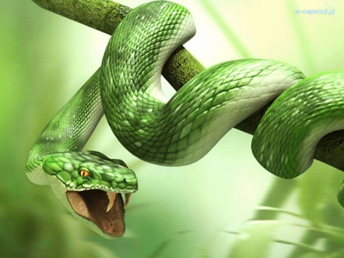 zielony wąż na gałęzi puzzle online