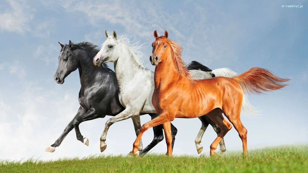 konie w biegu puzzle online