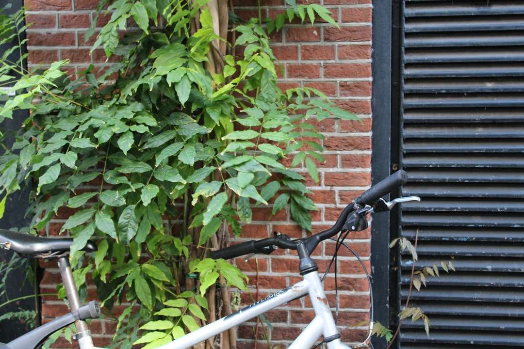 Biały rower obok zielonej rośliny puzzle online