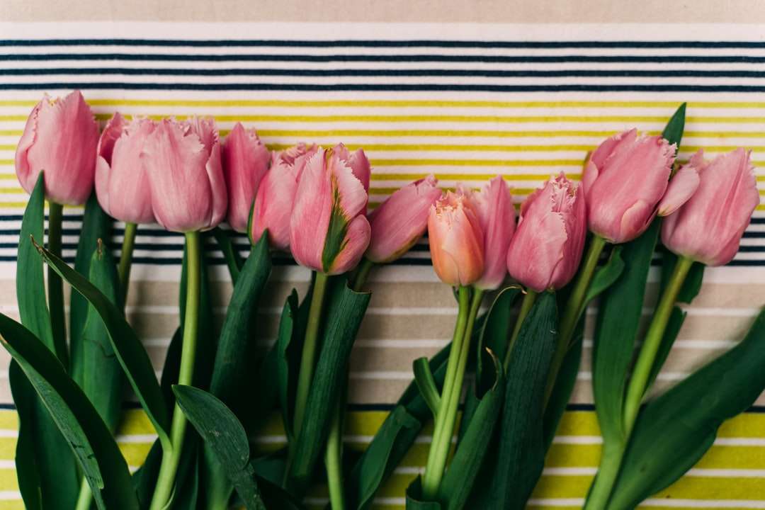Różowe tulipany przed żółtą i brązową drewnianą ścianą puzzle online