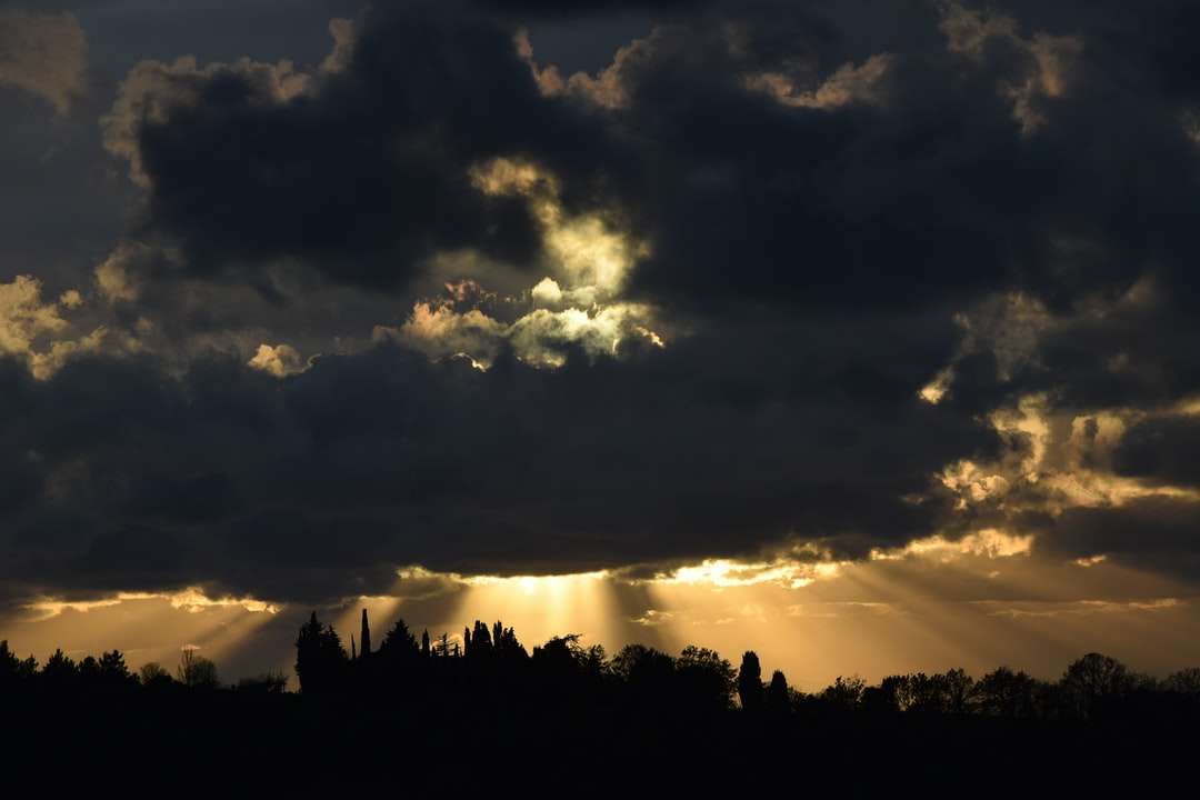 Sylwetka drzew pod chmurnym niebem podczas zachodu słońca puzzle online