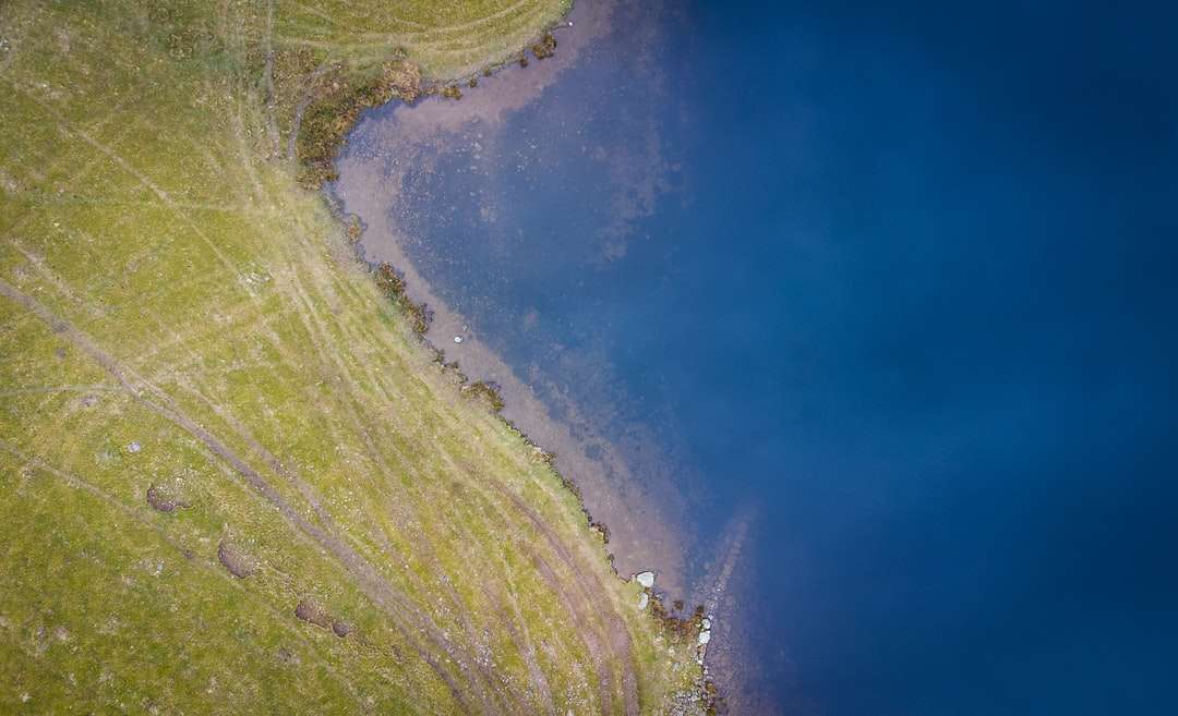 Zielona trawa pole pod błękitnym niebem w ciągu dnia puzzle online