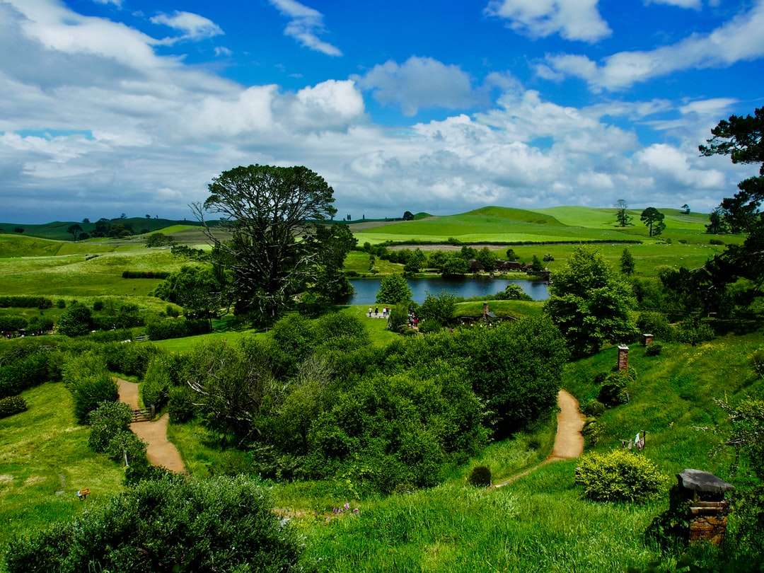 Zielona trawa pole w pobliżu jeziora pod błękitnym niebem w ciągu dnia puzzle online