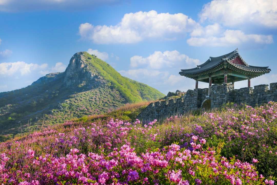 Purpurowy kwiatowy pole blisko zielonej góry pod błękitnym niebem puzzle online