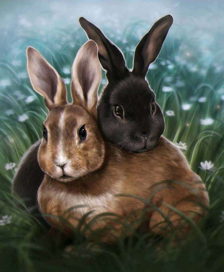 Dwa małe króliki na łące. puzzle online