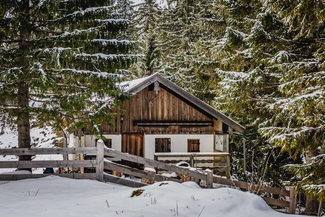 Brązowy drewniany dom otoczony śniegami pokryte drzewami puzzle online