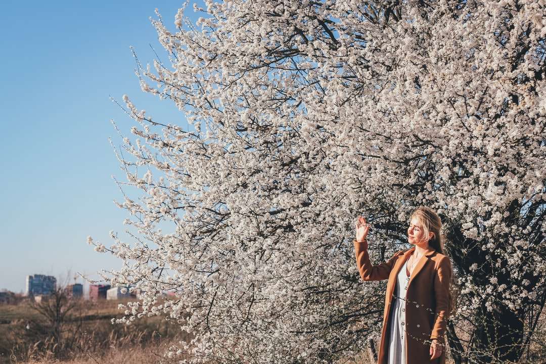 Mujer en la capa marrón de pie cerca del árbol de la flor de cerezo blanco  - Puzzle Factory