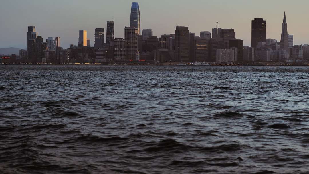 panoramę miasta w całym ciele wody w ciągu dnia puzzle online