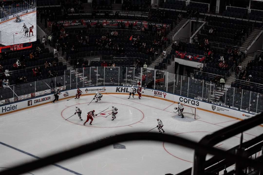 Gracze hokeja na lodzie na stadionie lodowym puzzle online