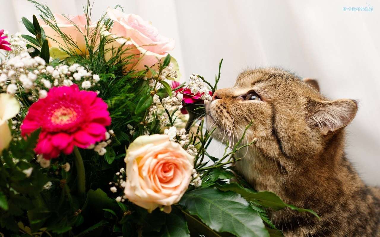 kotek i bukiet kwiatów puzzle online