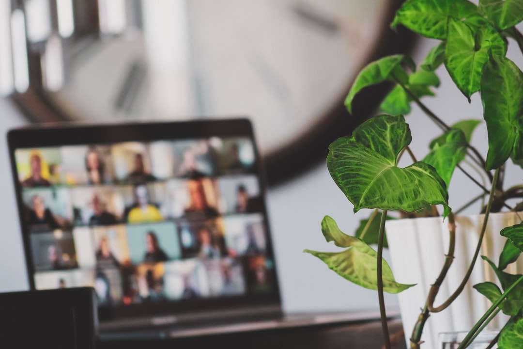 Czarny telewizor z płaskim ekranem włączony w pobliżu zielonej rośliny puzzle online