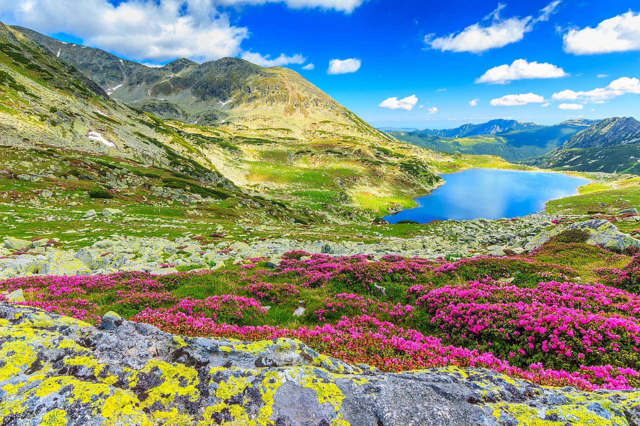 Kwiaty rosną w górach puzzle online